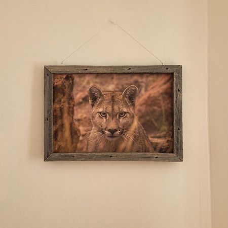 פריטו מורנו Hostel Tierra Patagonica מראה חיצוני תמונה